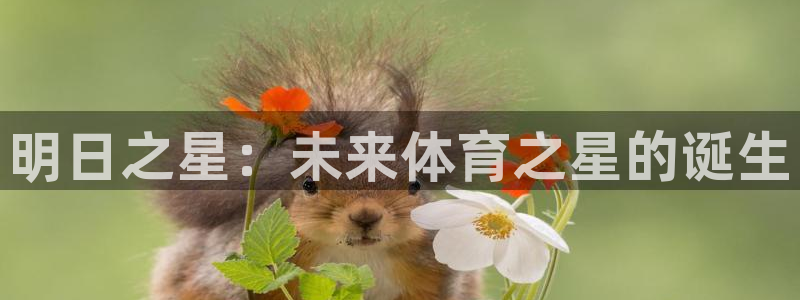 明日之星：未来体育之星的诞生
