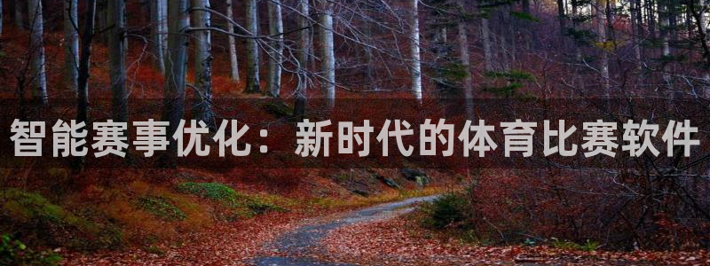 智能赛事优化：新时代的体育比赛软件