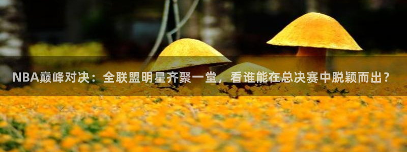 NBA巅峰对决：全联盟明星齐聚一堂，看谁能在总决赛中脱颖而出？