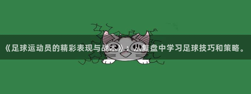 《足球运动员的精彩表现与战术》：从复盘中学习足球技巧和策略。