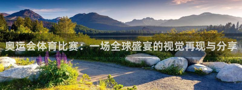 奥运会体育比赛：一场全球盛宴的视觉再现与分享