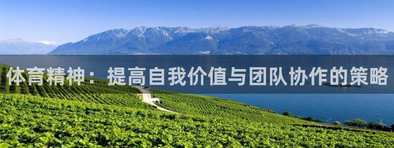 体育精神：提高自我价值与团队协作的策略