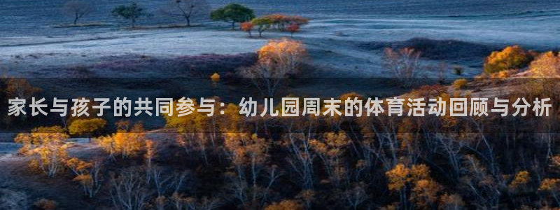 家长与孩子的共同参与：幼儿园周末的体育活动回顾与分析