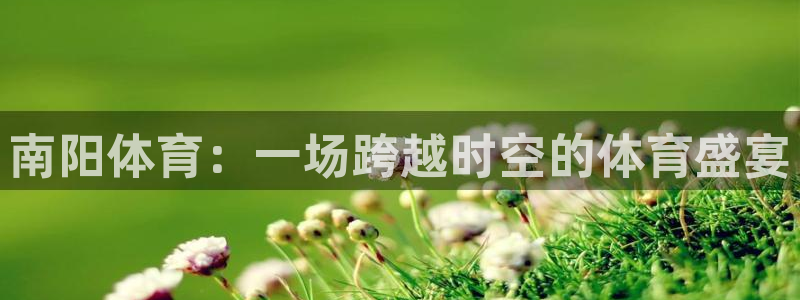 南阳体育：一场跨越时空的体育盛宴