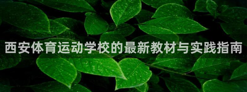 西安体育运动学校的最新教材与实践指南