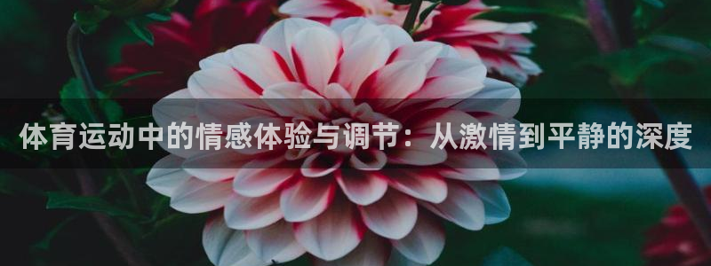 体育运动中的情感体验与调节：从激情到平静的深度