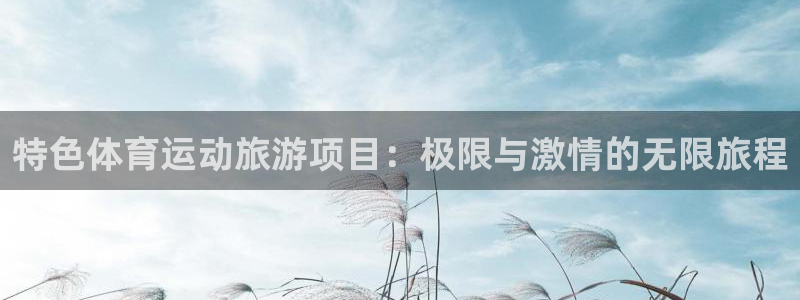 特色体育运动旅游项目：极限与激情的无限旅程