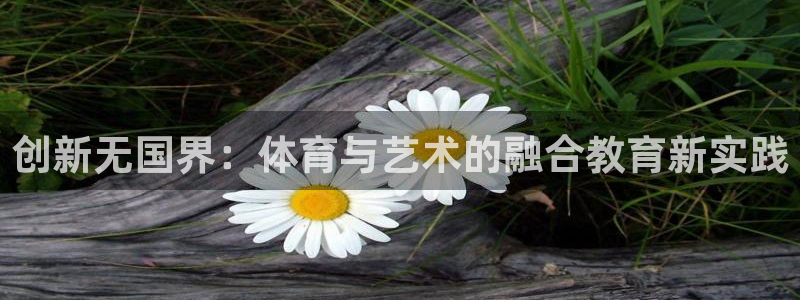 创新无国界：体育与艺术的融合教育新实践