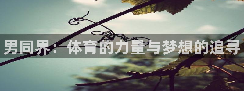 男同界：体育的力量与梦想的追寻