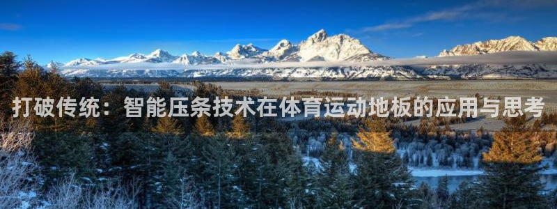 打破传统：智能压条技术在体育运动地板的应用与思考