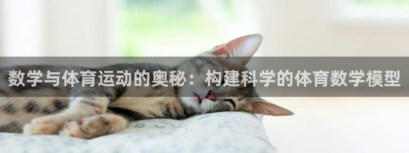 数学与体育运动的奥秘：构建科学的体育数学模型