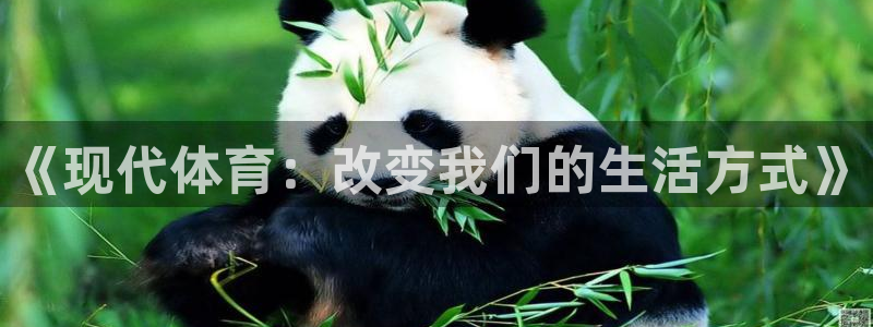 《现代体育：改变我们的生活方式》