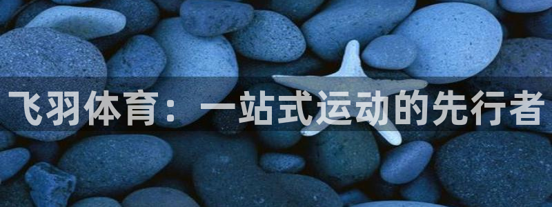 飞羽体育：一站式运动的先行者