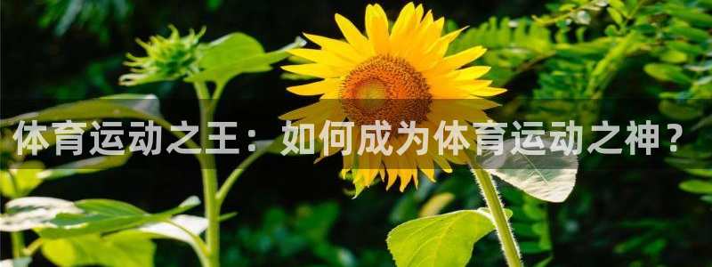 体育运动之王：如何成为体育运动之神？
