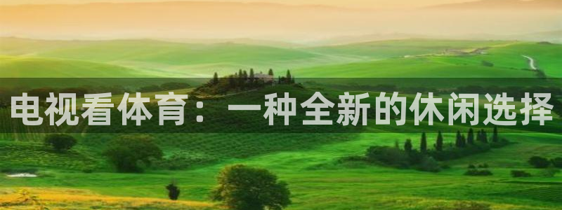 电视看体育：一种全新的休闲选择