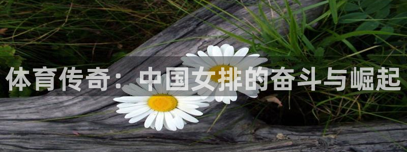 体育传奇：中国女排的奋斗与崛起