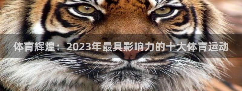 体育辉煌：2023年最具影响力的十大体育运动