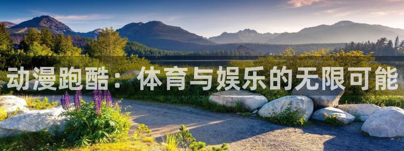 动漫跑酷：体育与娱乐的无限可能