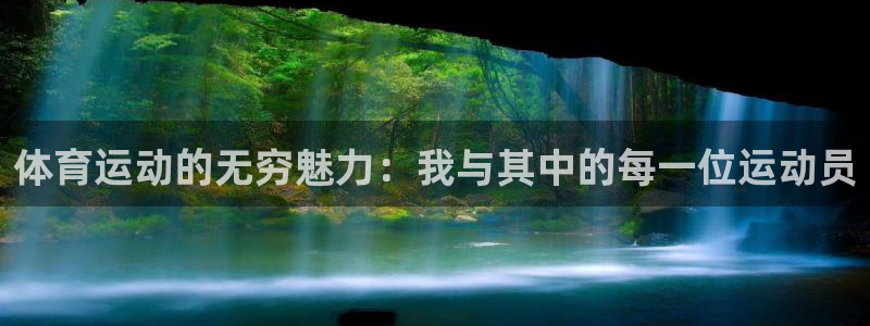 体育运动的无穷魅力：我与其中的每一位运动员