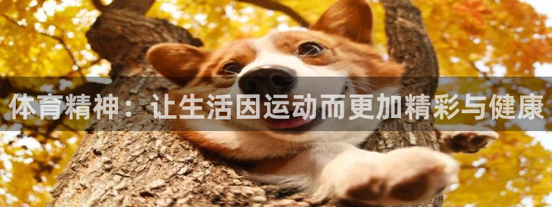 体育精神：让生活因运动而更加精彩与健康