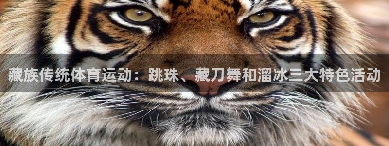 藏族传统体育运动：跳珠、藏刀舞和溜冰三大特色活动