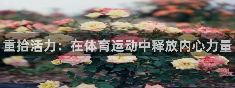 重拾活力：在体育运动中释放内心力量