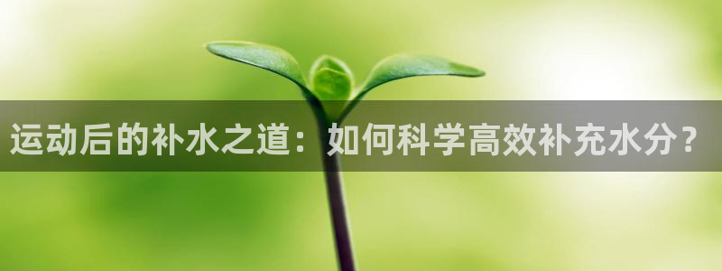 运动后的补水之道：如何科学高效补充水分？