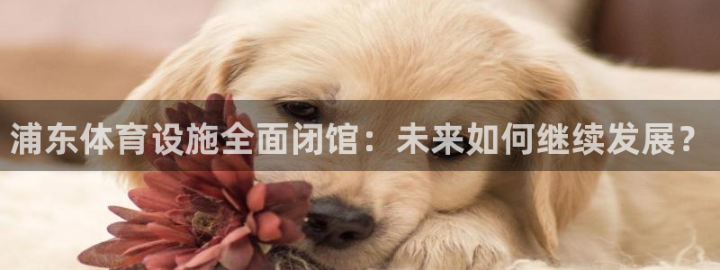 浦东体育设施全面闭馆：未来如何继续发展？