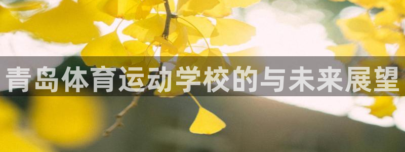 青岛体育运动学校的与未来展望