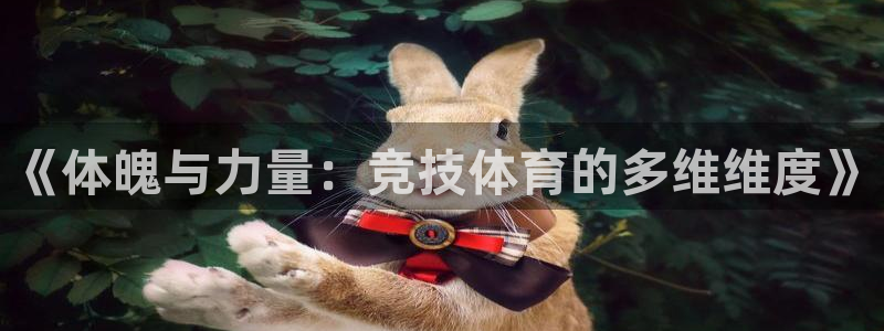 《体魄与力量：竞技体育的多维维度》