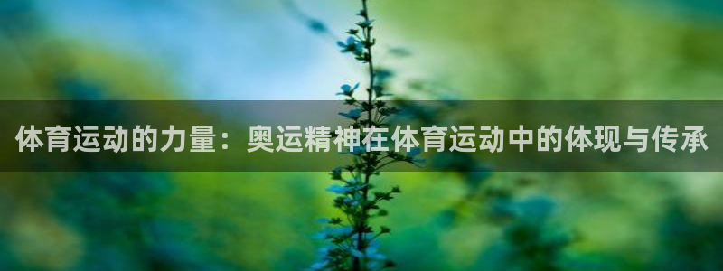 体育运动的力量：奥运精神在体育运动中的体现与传承