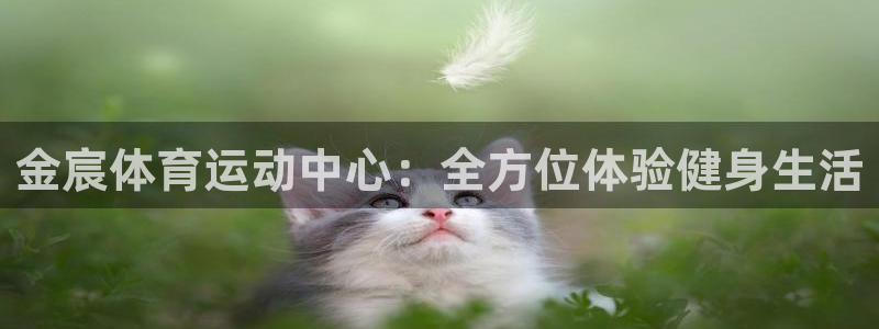 金宸体育运动中心：全方位体验健身生活