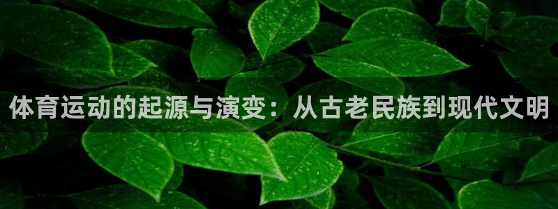 体育运动的起源与演变：从古老民族到现代文明