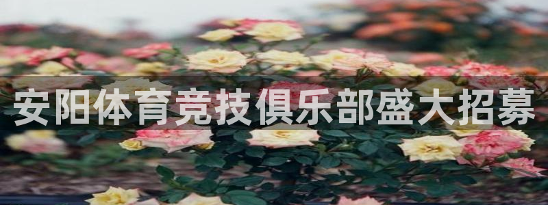 安阳体育竞技俱乐部盛大招募