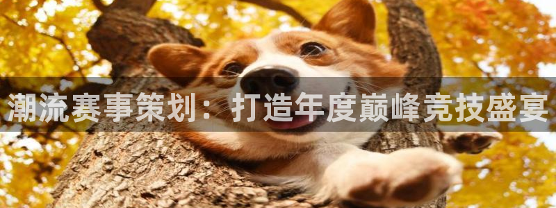 潮流赛事策划：打造年度巅峰竞技盛宴