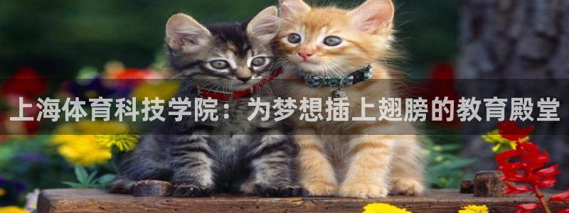 上海体育科技学院：为梦想插上翅膀的教育殿堂
