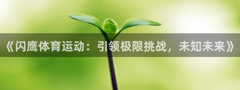 《闪鹰体育运动：引领极限挑战，未知未来》