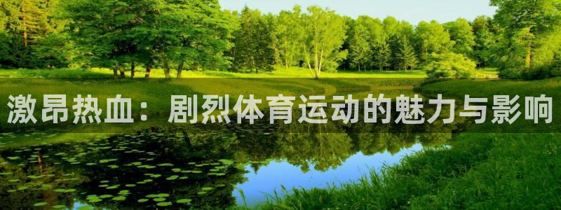 激昂热血：剧烈体育运动的魅力与影响