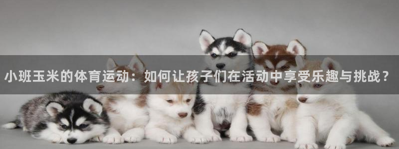 小班玉米的体育运动：如何让孩子们在活动中享受乐趣与挑战？