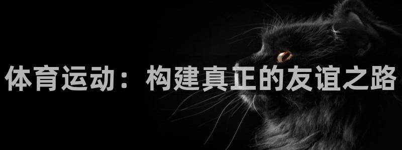 体育运动：构建真正的友谊之路