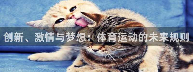 创新、激情与梦想：体育运动的未来规则