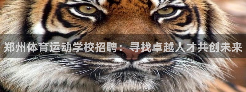 郑州体育运动学校招聘：寻找卓越人才共创未来