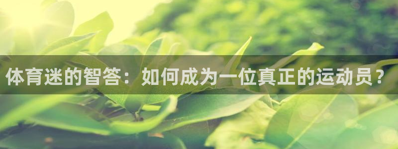 体育迷的智答：如何成为一位真正的运动员？